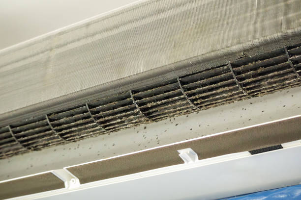Best Local Air Duct Cleaning Services  in Kimberly, ID